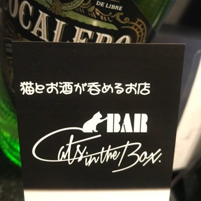 #新宿 #歌舞伎町 の #猫bar と呼ばれているお店です。営業時間は20:00〜5:00ごろ。誰も来なければ早閉めすることもあります。不定休。お問い合わせは公式LINEから #猫カフェではありません #バー です