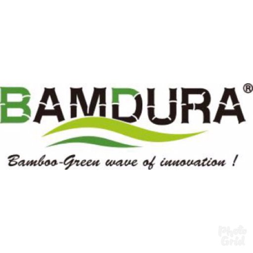 bamdura Profile Picture