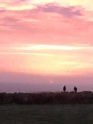 Jenny82285247's profile picture. 