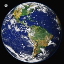 tunca_altinok's profile picture. Periodontoloji Uzmanı / Diş hekimi