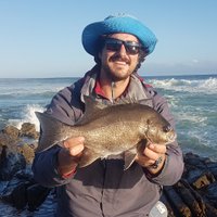 Ed Butler (@ed_butler_fish) 's Twitter Profile