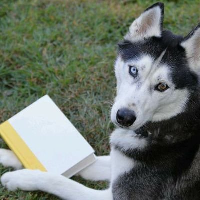 Reader and Writer. Music lover (esp '80s). Arts & Crafts & Photography. Wife. Mother of Siberian huskies. South central PA.