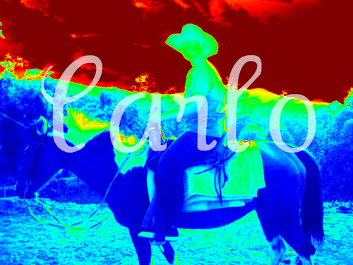 Carlo326's profile picture. I LOVE TO EAT !! 0.0