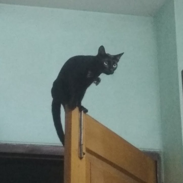 ArtisTech_'s profile picture. 