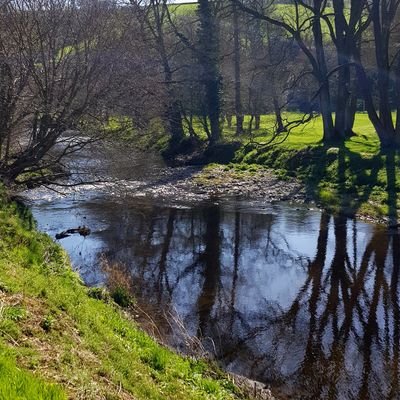 PKUlicious's profile picture. I am a mother of 4 children but 3 with PKU, this is my page of foods I have made - past and present. I would love to share and see what other people have made.