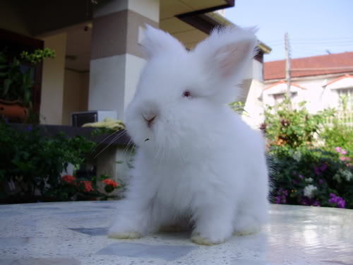 kangjeebo's profile picture. 