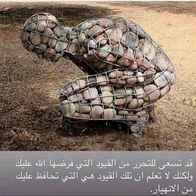 EPcTmgLaXTLQ1Zh's profile picture. ‏ناشط سياسي إلدى المؤتمر الشعبي العام ورجال قانون ورجال اعمال