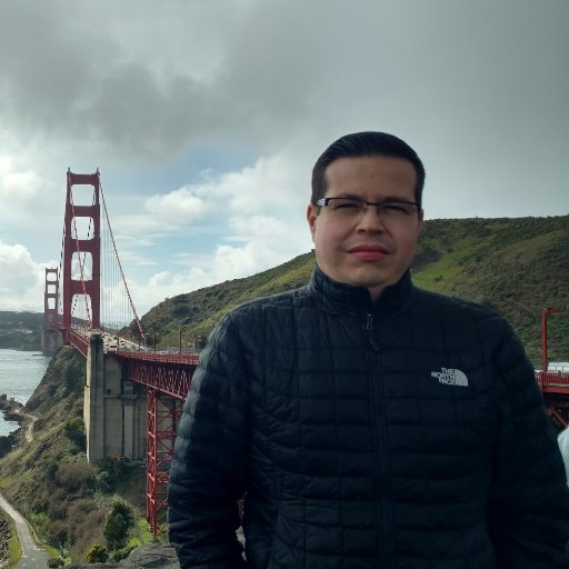 raulvi's profile picture. Software Architect