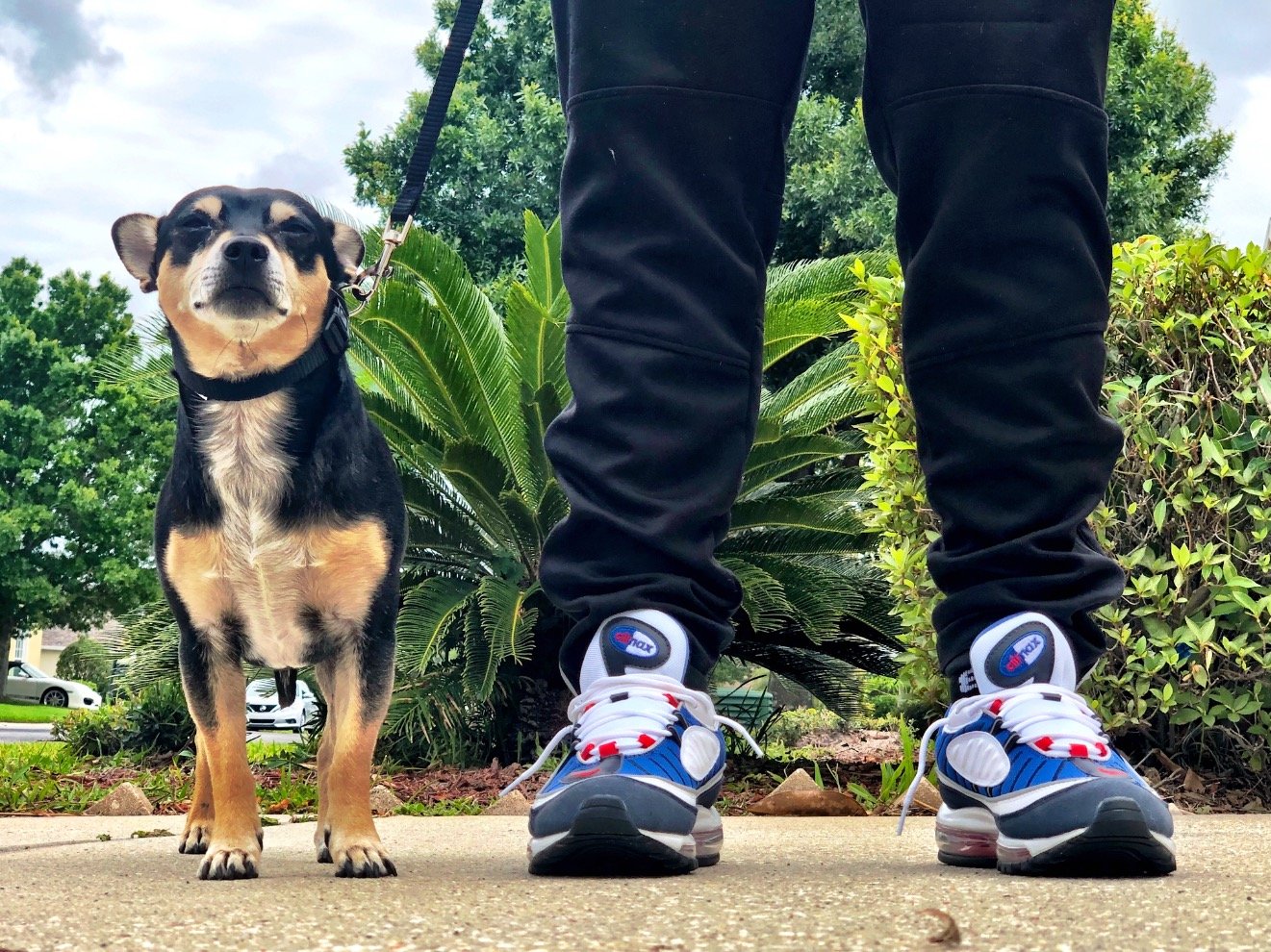 DJayArvi's profile picture. Soul