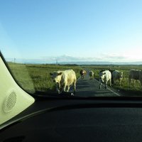 John Wilder (@wilder_jd) 's Twitter Profile