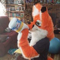 Luca Foxx (@lucafoxxo) 's Twitter Profile