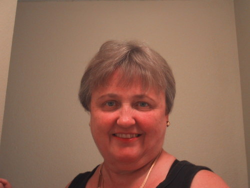 biomedical consultant, SBIRs, interim management