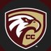 CC Lady Eagle Soccer (@lady_soc1) Twitter profile photo