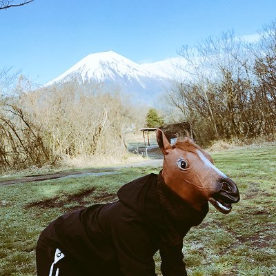 ぽむさんのプロフィール画像