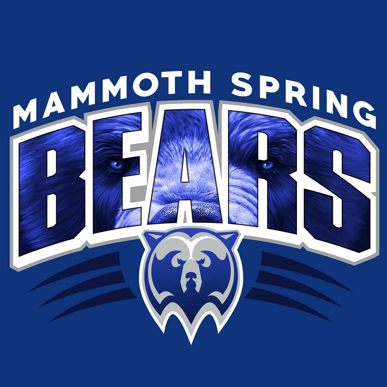 The official Twitter account for the Mammoth Spring Lady Bears. #BeABear🏀⛹️‍♀️