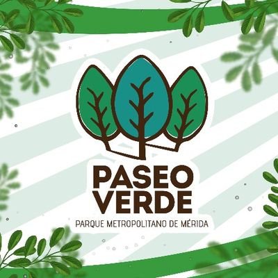 Espacio creado para rescatar un área verde importante para Mérida, un pulmón para nuestra ciudad. Gobierno del Estado de Yucatán @MauVila 2018 - 2024.