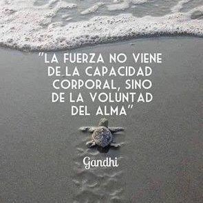 El universo es mente, tu mente te puede llevar donde quieras, BRILLA con lo que te apasiona y trabaja con ética.#Disrupción #Talento #Cambio #RRHH #Coaching