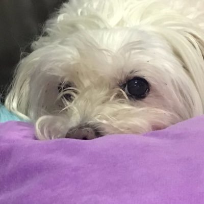 gazza_sa's profile picture. gazza