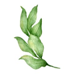 devirps1's profile picture. A Devir é um consultório de Psicologia que tem como fundamento a convicção na mudança, na potencialização do diálogo honesto e no desvelar das potências humanas