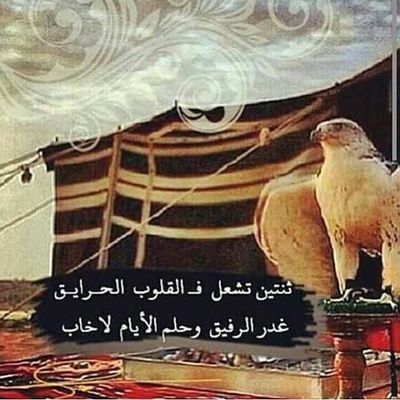 أحنا بعزتنا نواجه والحموله هايله *** العز فينا كنز فطري والكرامة رأس مال ***