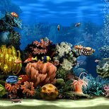 queseracrochet's profile picture. Live for my children, enjoy all kinds of crafts, especially crochet and knitting. Make a mean malteser cake ☺️