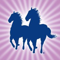 Mane 'n Tail Equine (@manentailequine) 's Twitter Profile