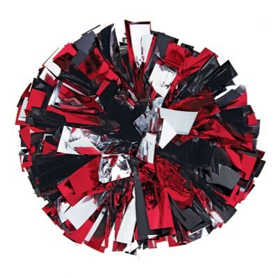 WSouth_Cheer's profile picture. https://t.co/muzJ4hQRBt