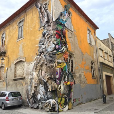 jorgeguti's profile picture. 