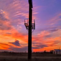 Joey R. Noe (@joeyrnoe) 's Twitter Profile