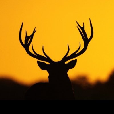 TdbuckTv's profile picture. 25|| Just floating in this boat called life. ||🦌 || DHS’17🎓|| Follow me if you like trees 🌳