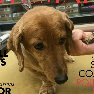 traveler, snow hater, movie watcher, book reader, and proud dog owner https://t.co/EsNbnWWke4 jahlberg72