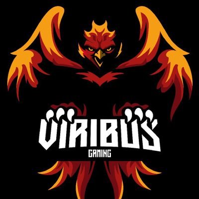 Viribus Gamingさんのプロフィール画像