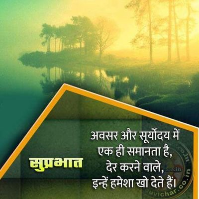 XAswary's profile picture. 