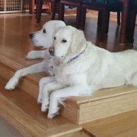 Brian6621 (@brian6621gmail1) 's Twitter Profile