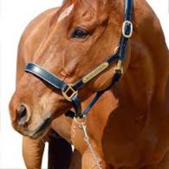 derby_epsom's profile picture. 