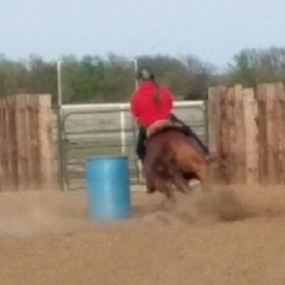 MelanieGregory6's profile picture. NBHA, DRC, DCC, THSRA, SCR, never fear the shadows they simply mean there’s a light shining near by