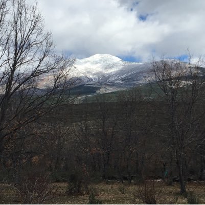 MarioCatala47's profile picture. Inversiones de Impacto Social, Emprendimiento Social. #impinv