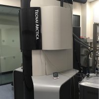 Ava the Arctica (@avaarctica) 's Twitter Profile