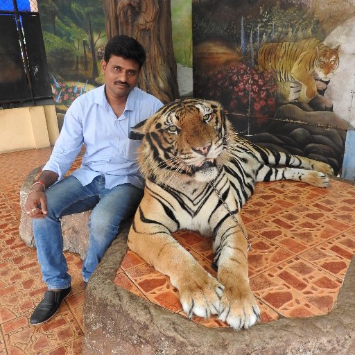 SekhararaoTamma's profile picture. 