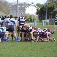 DundalkWomensRugby (@dundalkgirlsrfc) 's Twitter Profile