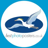 Bestphotoposters(@Bestphotoposter) 's Twitter Profile Photo