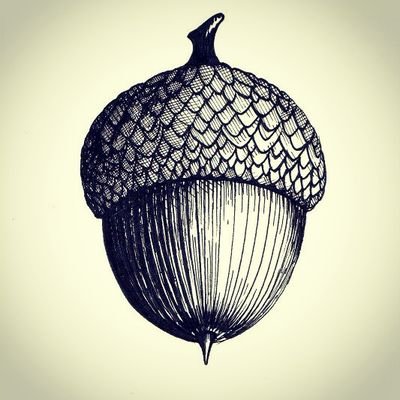 OakenCollective's profile picture. A collective of creators and artists branching out.
Currently working on The Spot as part of Sparkfest