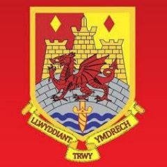 Carmarthen Quins Mini and Juniors Profile