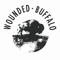 Wounded Buffalo Sound Studios (@wounded_buffalo) 's Twitter Profile