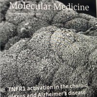 Vandenbroucke lab (@vdb_lab) 's Twitter Profile Photo Vandenbroucke lab (@vdb_lab) 's Twitter Profile Photo