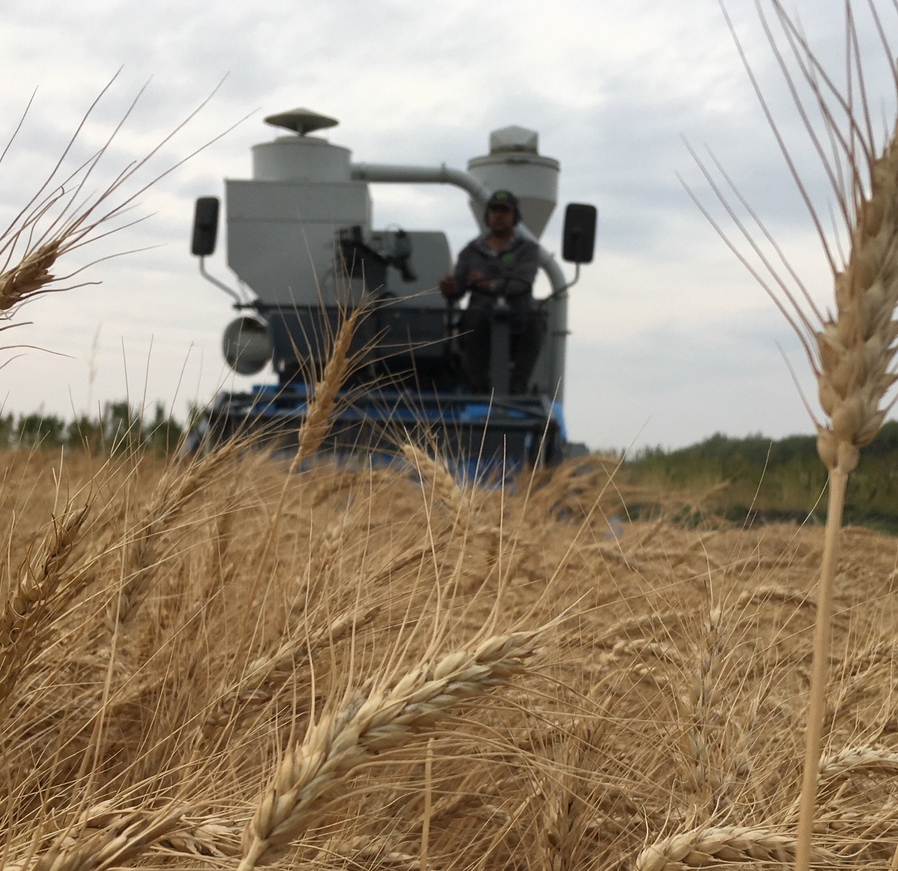 ParklandCrop's profile picture. 