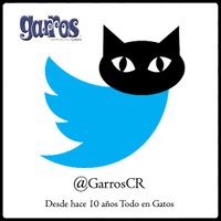 Garros Todo en Gatos(@GarrosCCR) 's Twitter Profile Photo