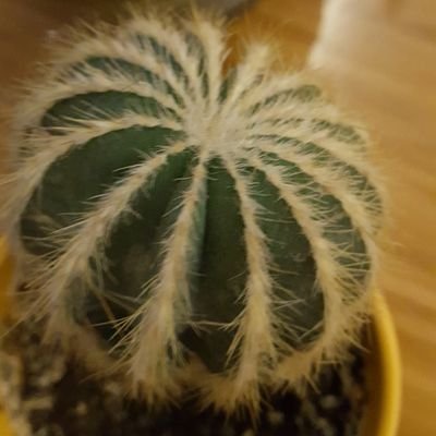 kaikennnnnn's profile picture. 