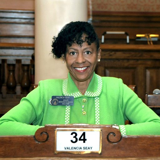 Georgia State Senator District 34 since 2002 with proven responsible leadership.