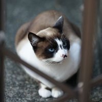 タツヤ🐧 (@portishead8) 's Twitter Profile